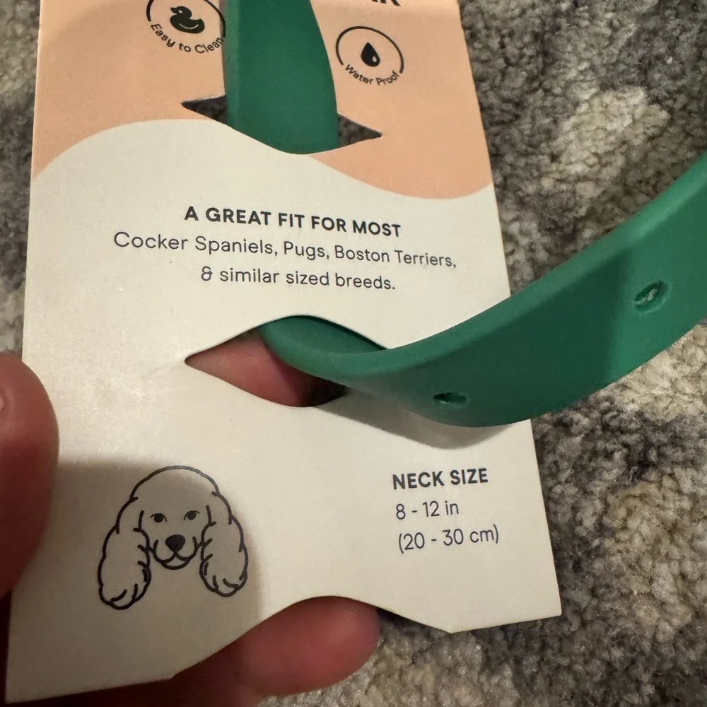 NWT Size Small Wild One Green Dog Collar